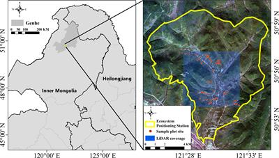 Total and component forest aboveground biomass inversion via LiDAR-derived features and machine learning algorithms